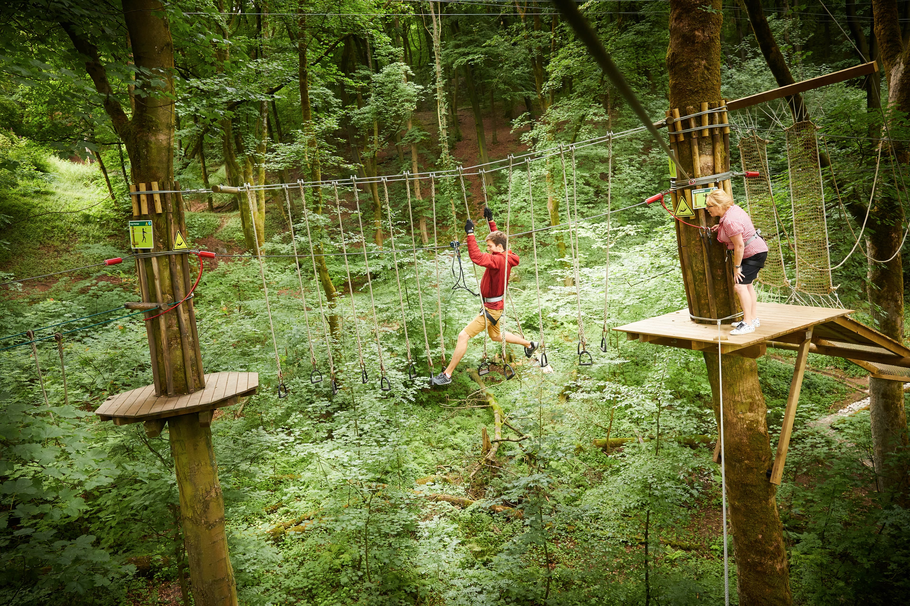 Go Ape Buxton