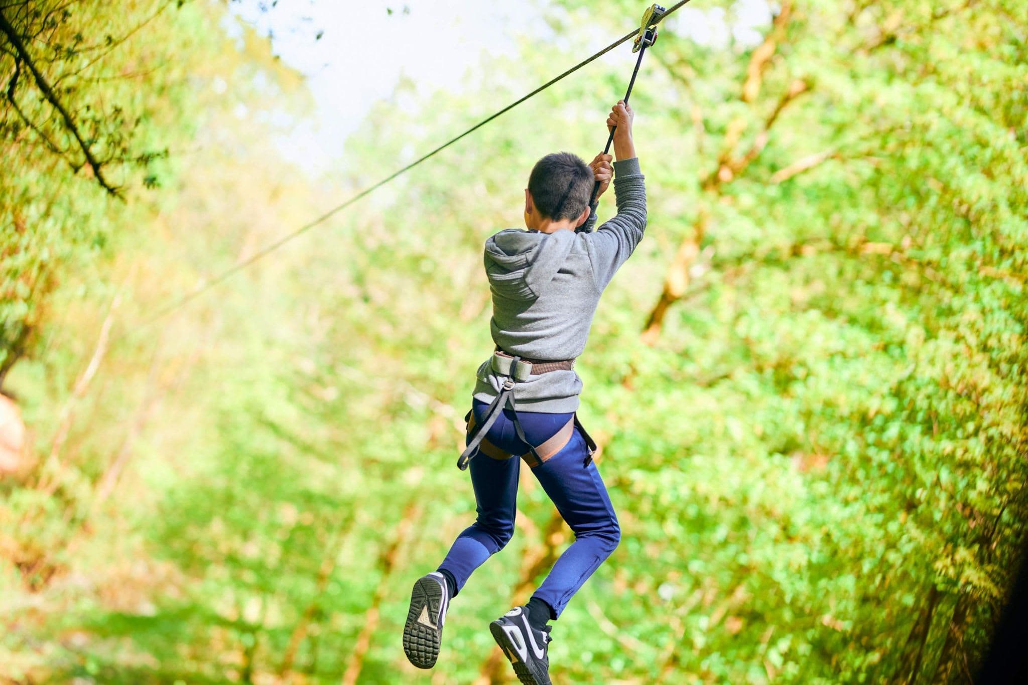 Go Ape Normanby Hall
