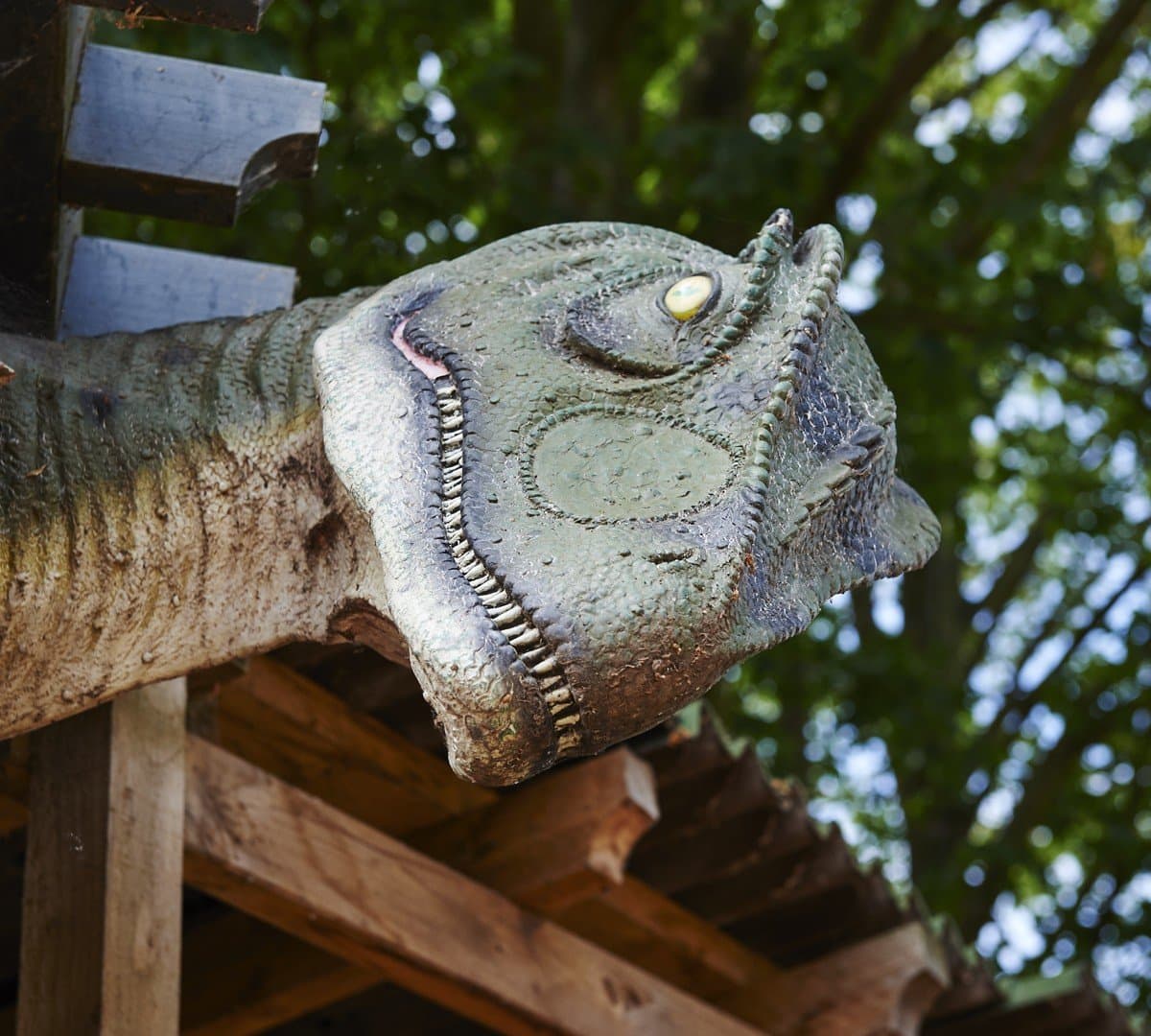 Rye-assic Adventure Park - Photo