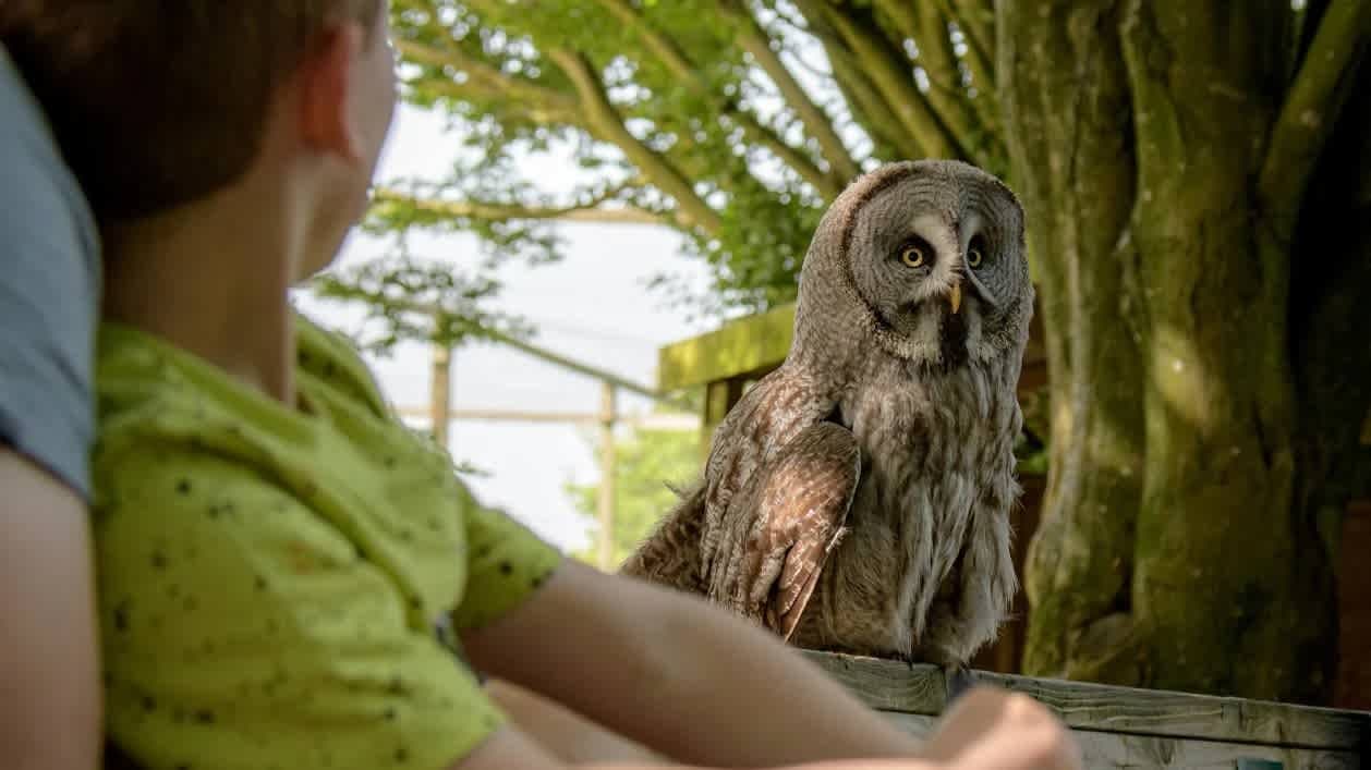 Hawk Conservancy Trust