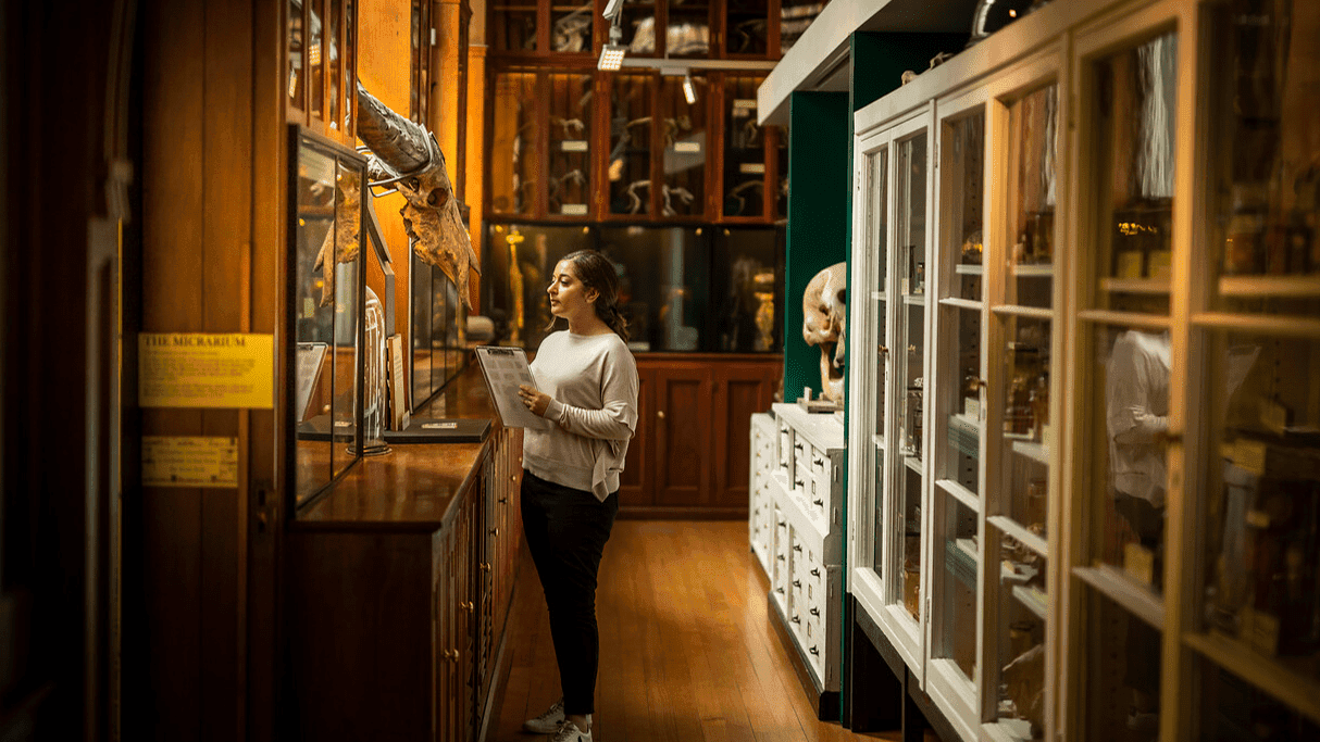 Grant Museum of Zoology - Photo