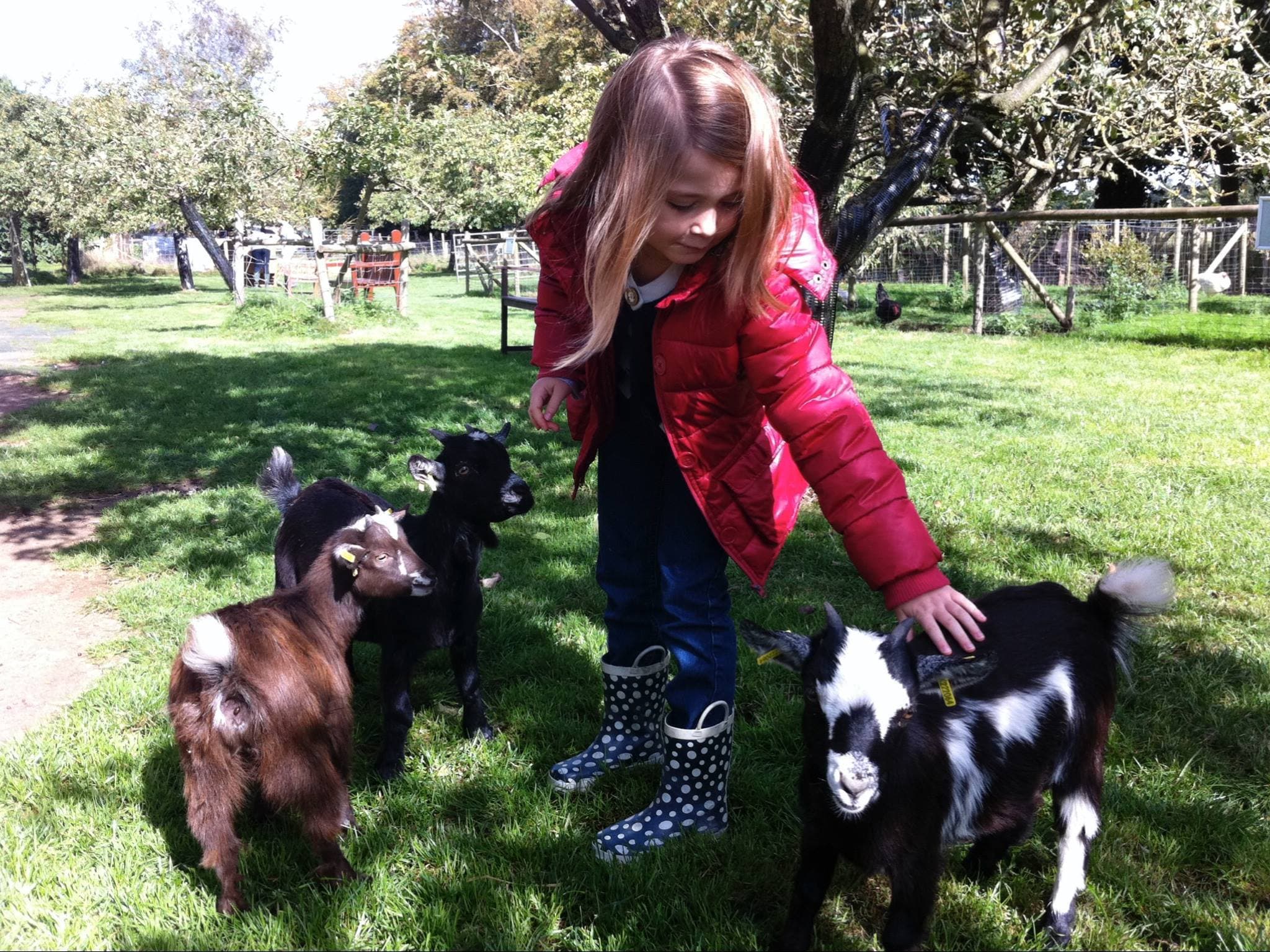 Baylham House Rare Breeds Farm