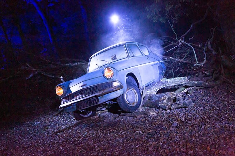 Harry Potter: A Forbidden Forest Experience - Photo