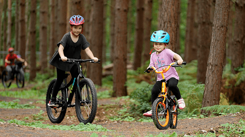 Alice Holt Forest - Photo