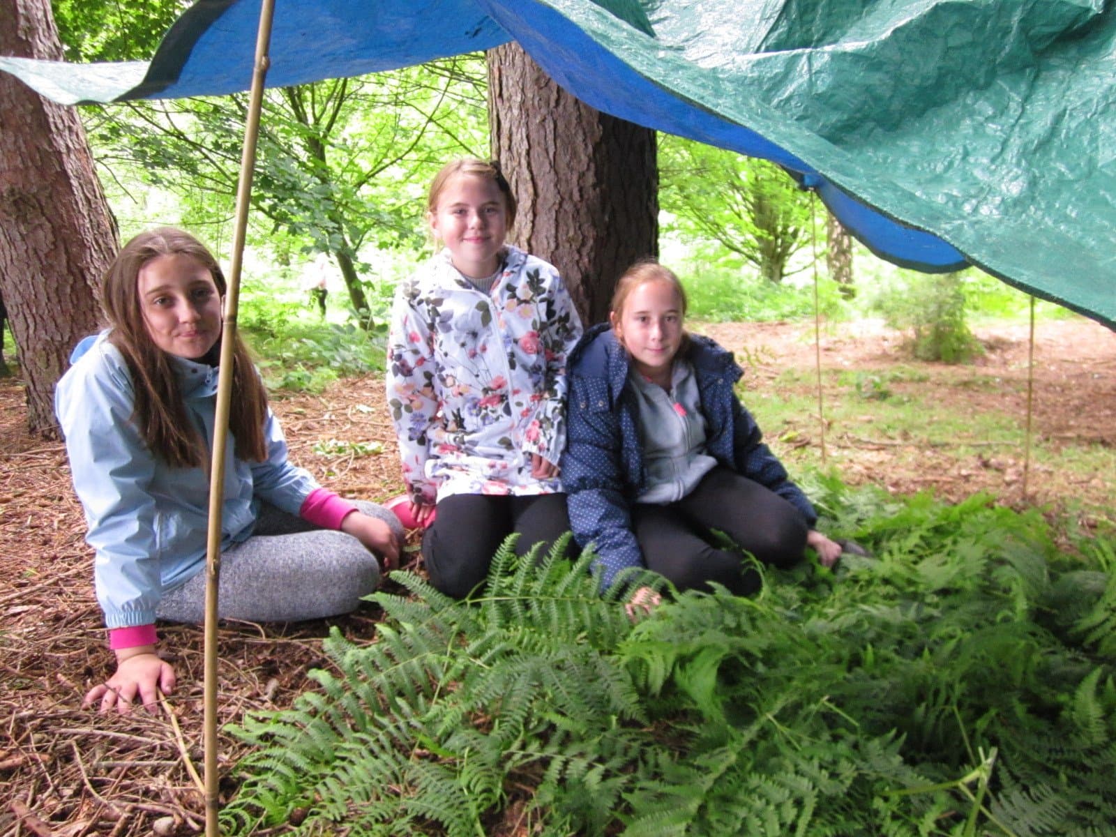 The Yorkshire Arboretum - Photo 1