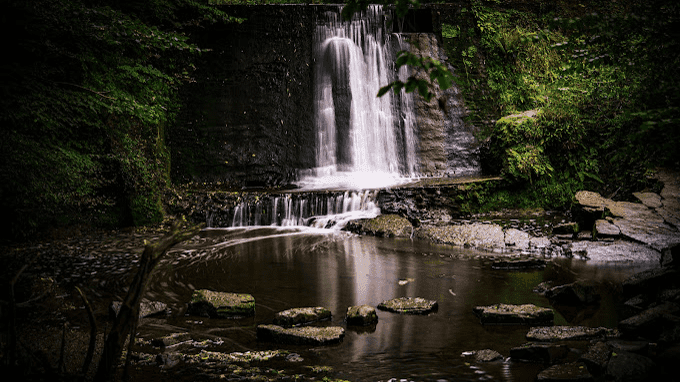 Wepre Park - Photo