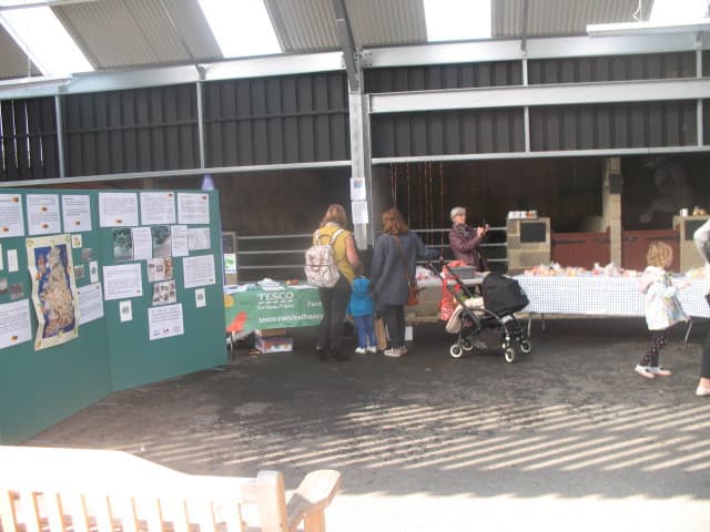 Harlow Town Park