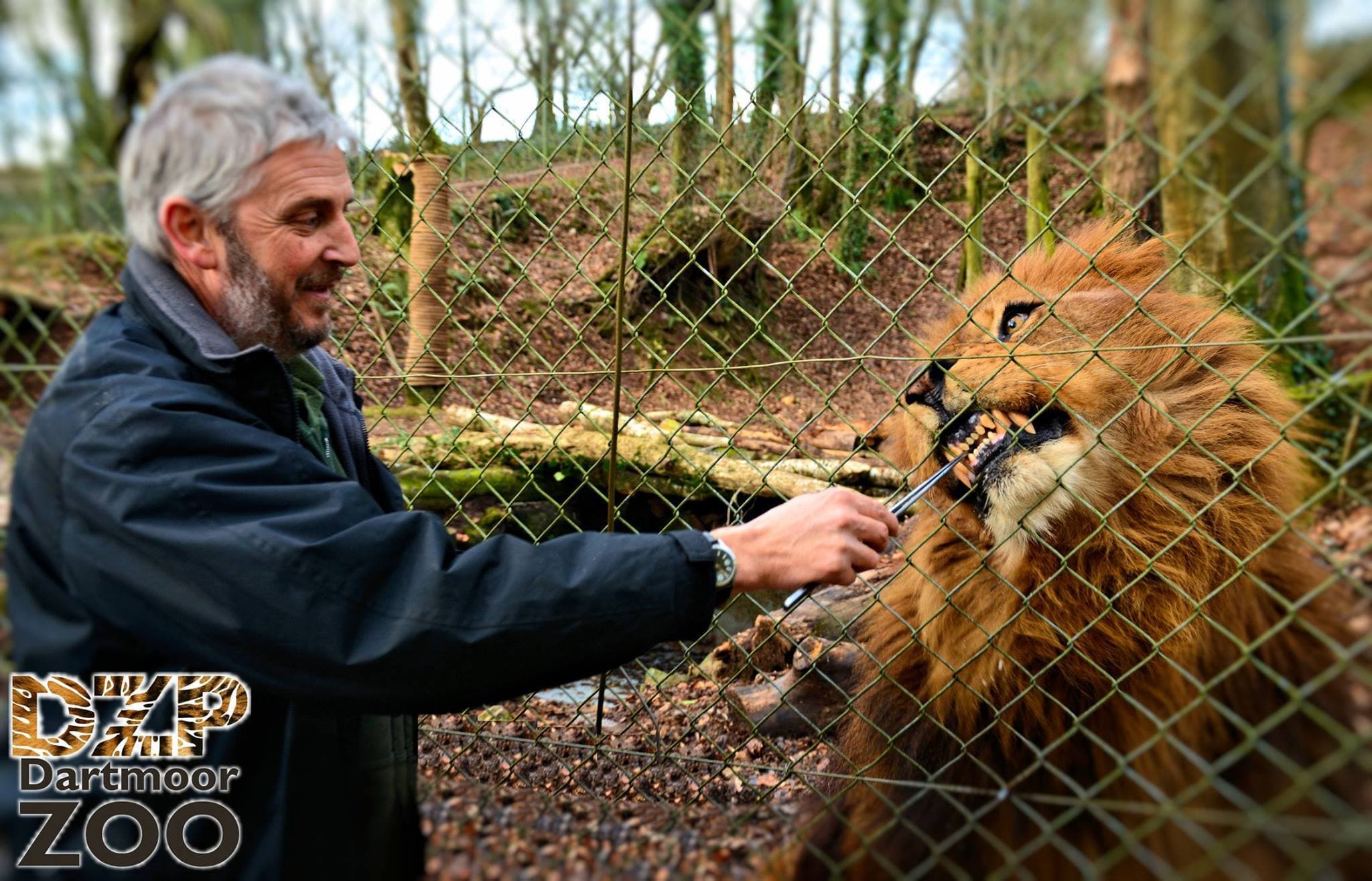 Dartmoor Zoological Park - Photo