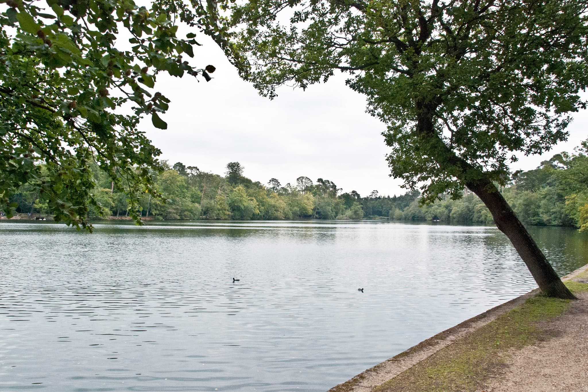 Black Park