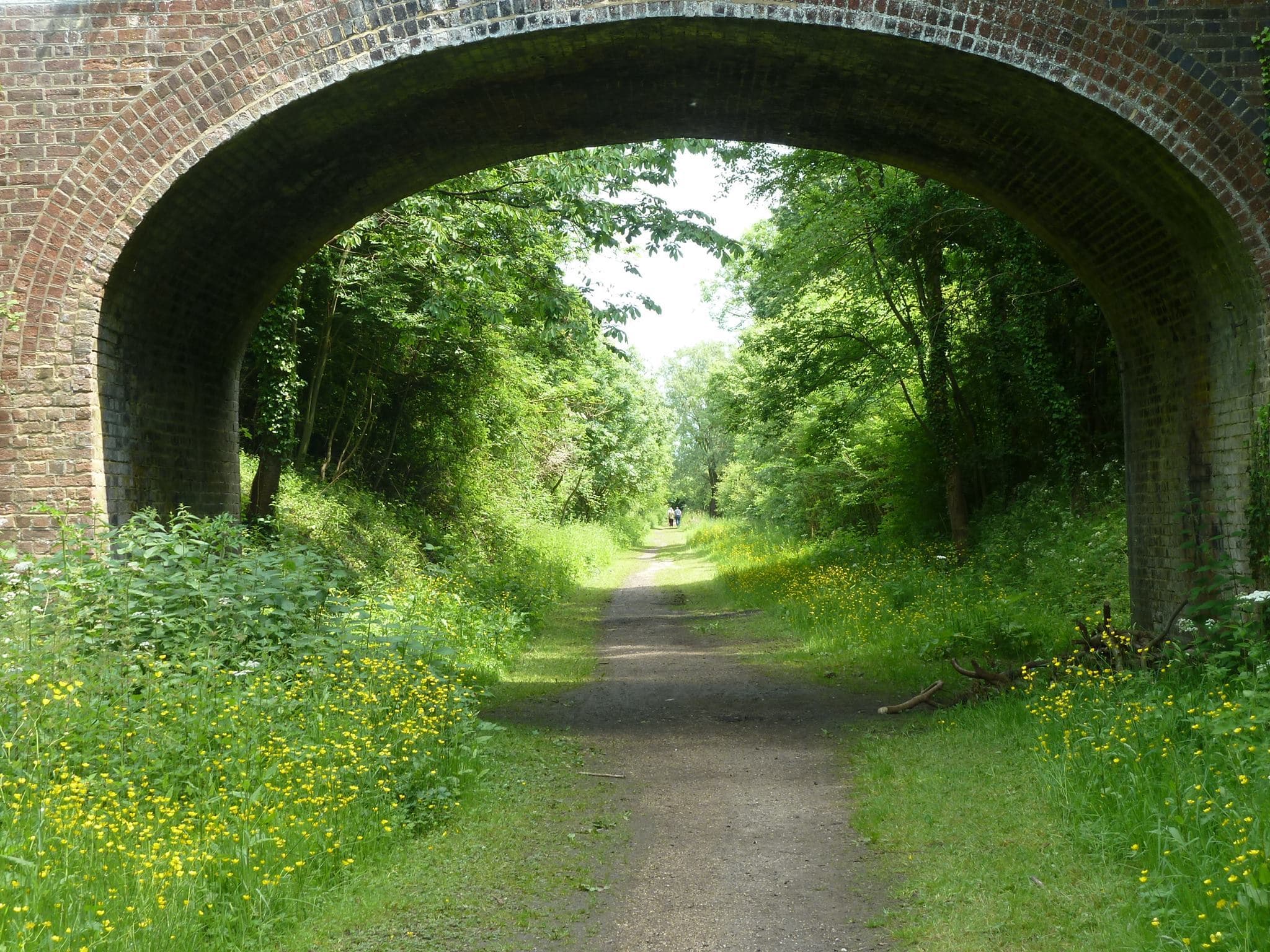 Clare Castle Country Park