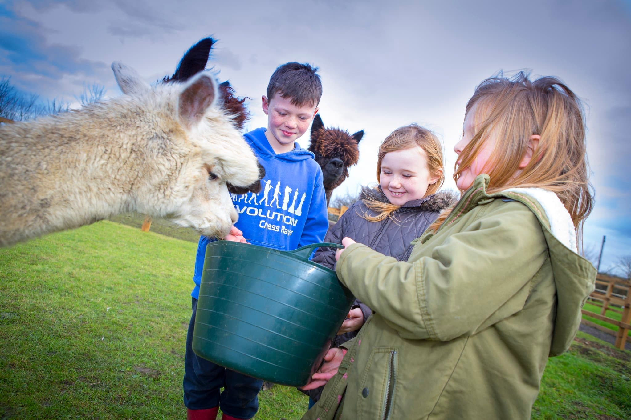 Herrings Green Activity Farm & Birds of Prey Centre - Photo