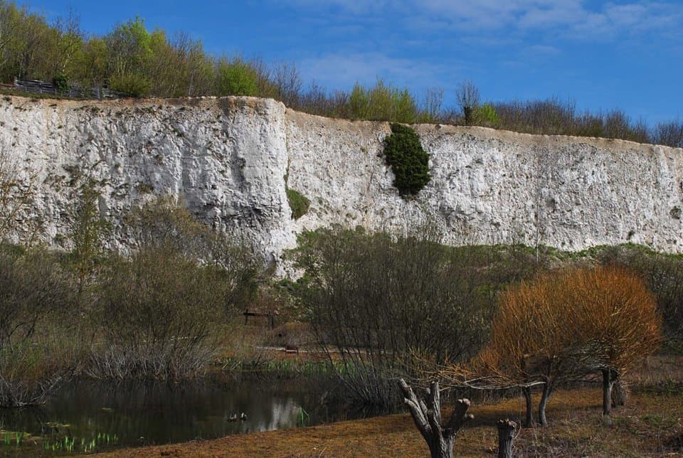 Monkton Nature Reserve
