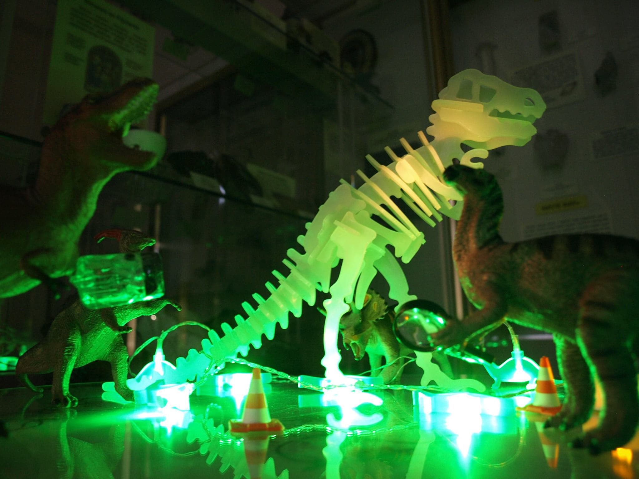 Sedgwick Museum of Earth Sciences - Photo