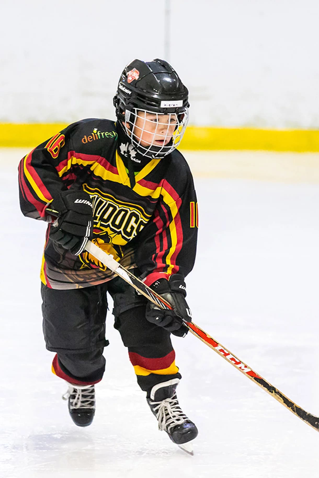 Bradford Ice Rink - Photo