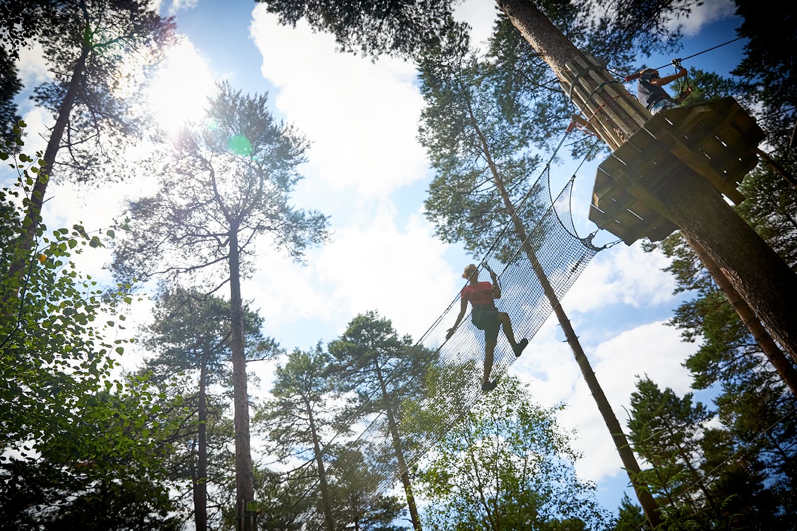 Go Ape Haldon - Photo
