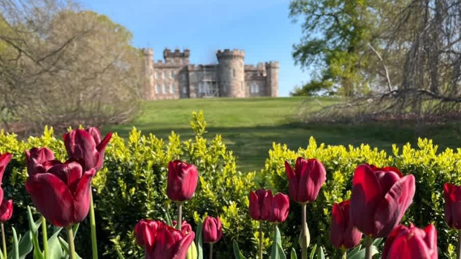 Cholmondeley Castle Gardens - Photo