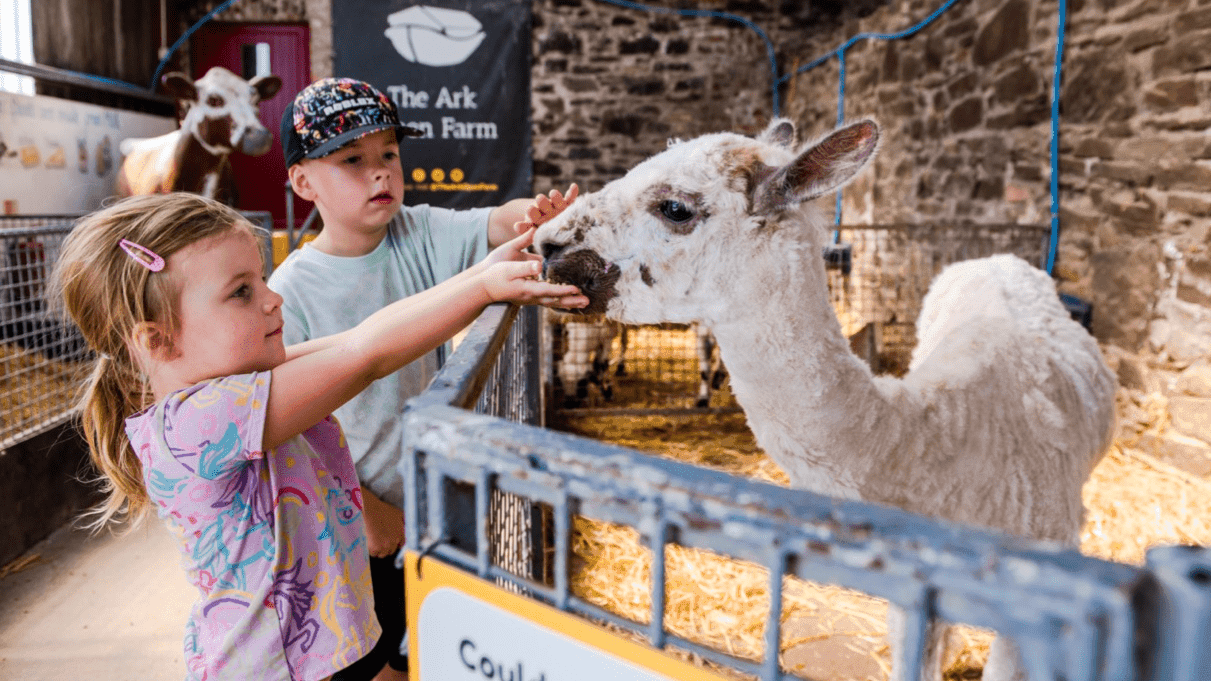 Ark Open Farm - Photo