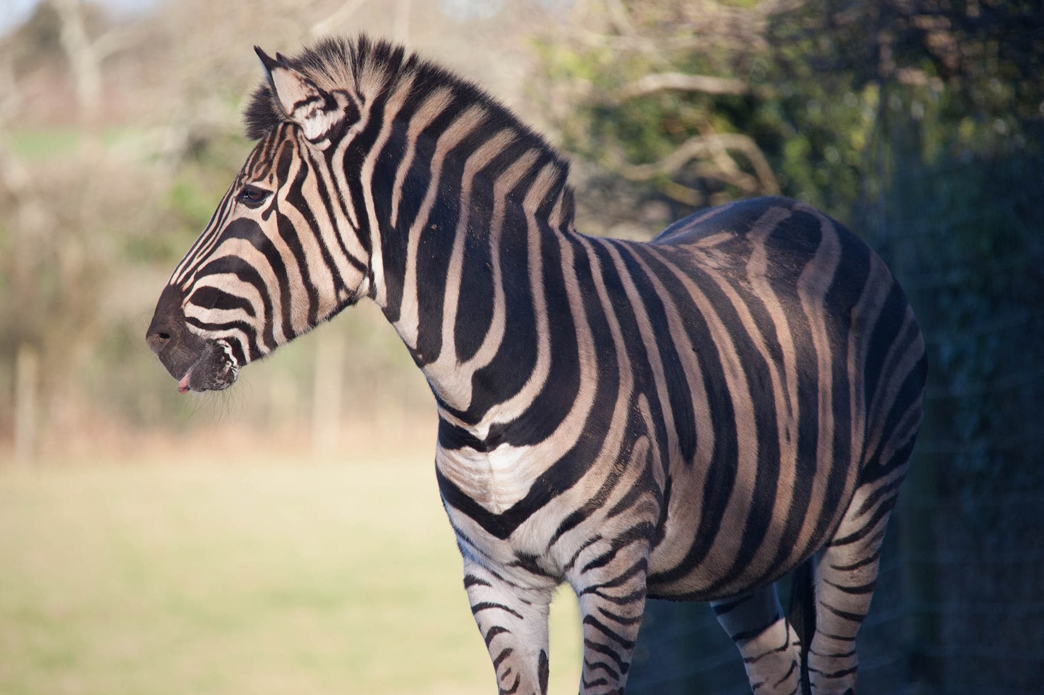 Porfell Wildlife Park