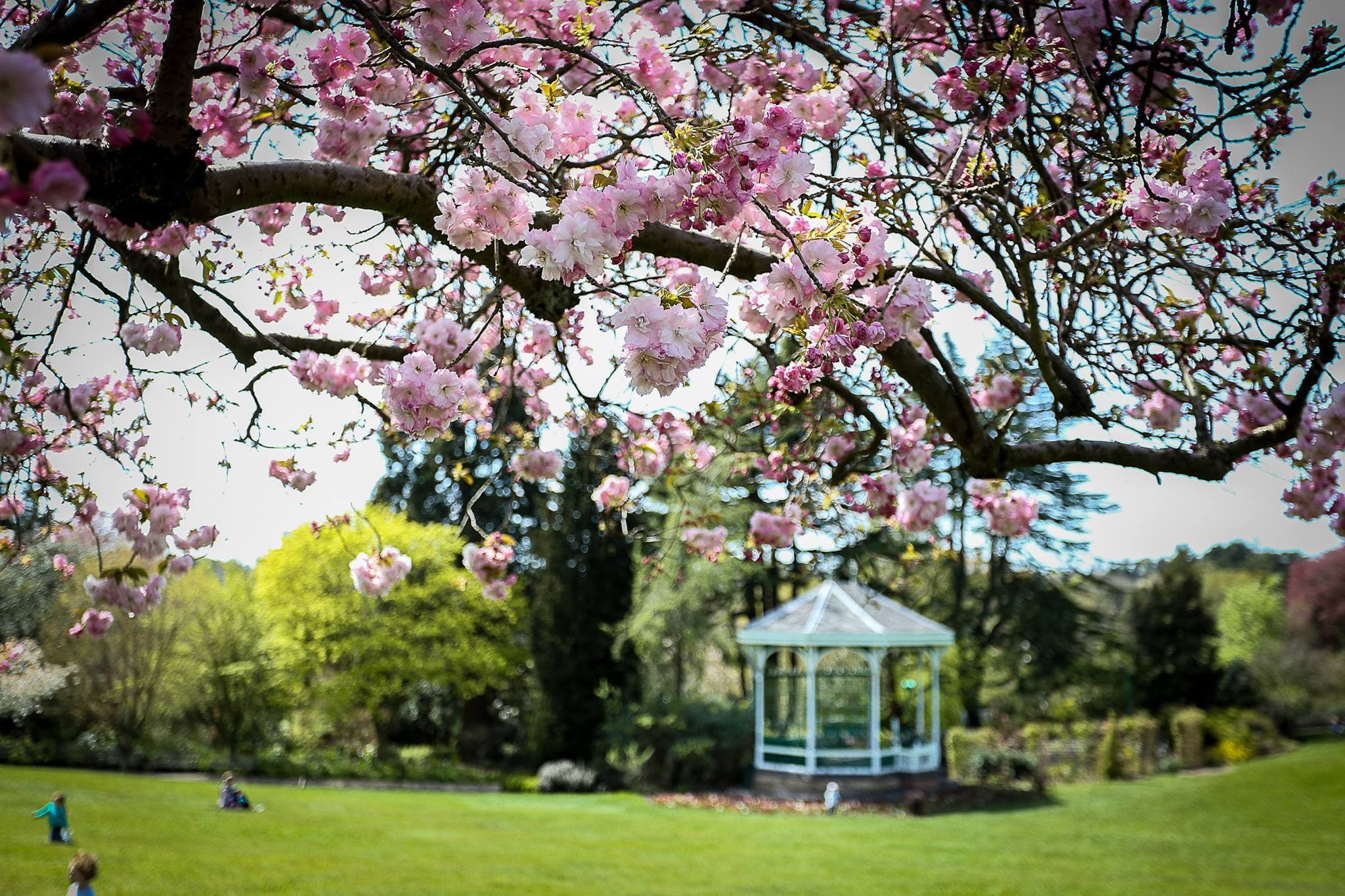 Birmingham Botanical Gardens - Photo