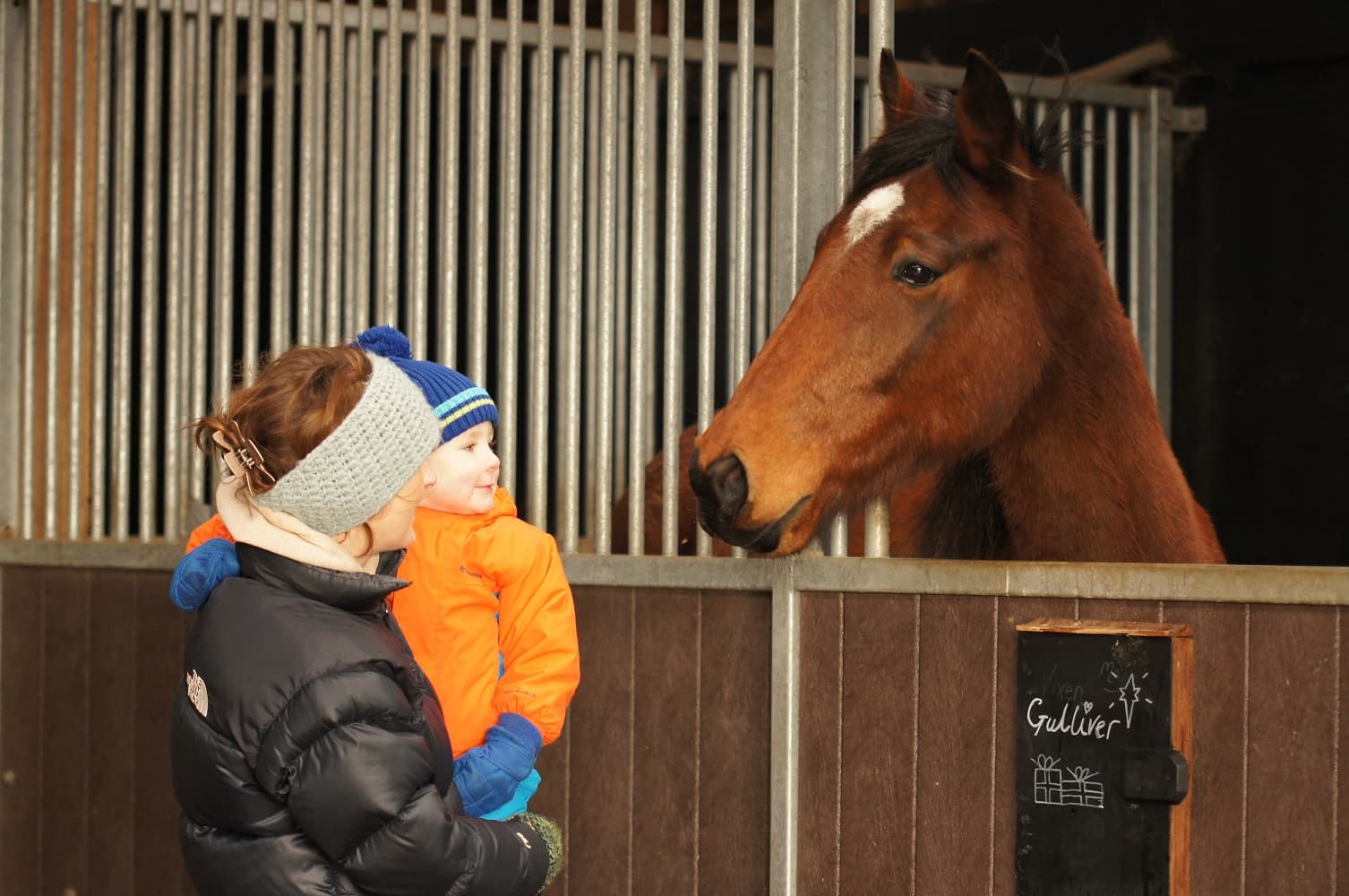 Redwings Horse Sanctuary Aylsham - Photo