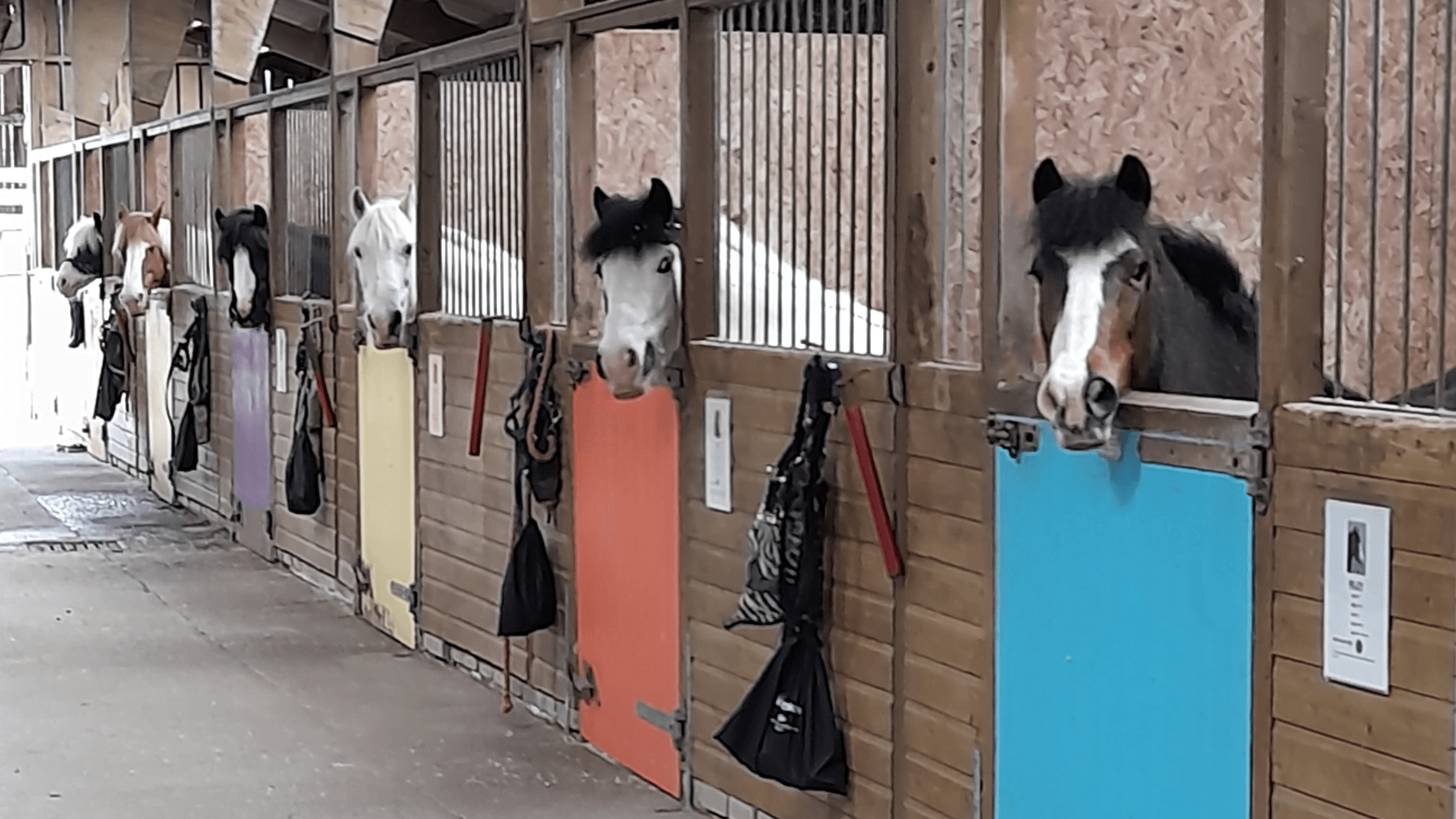 The Equestrian Centre at Holme Lacy - Photo