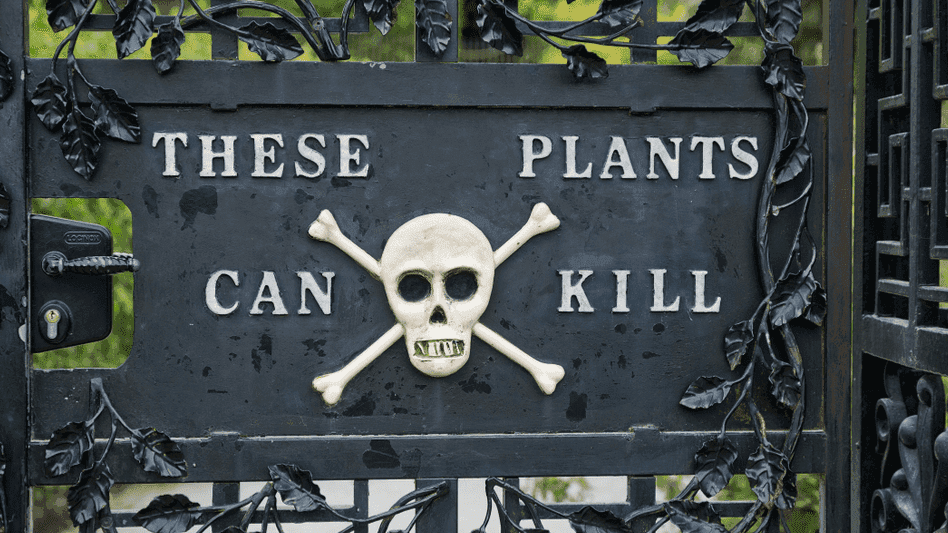 Poison Garden - Photo