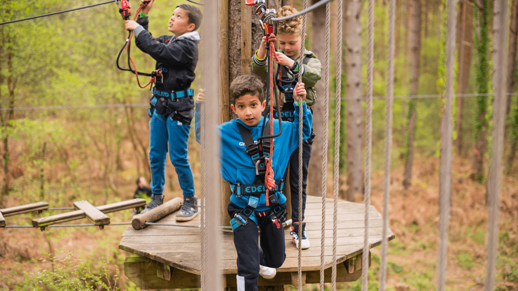 Go Ape Sherwood Pines - Photo