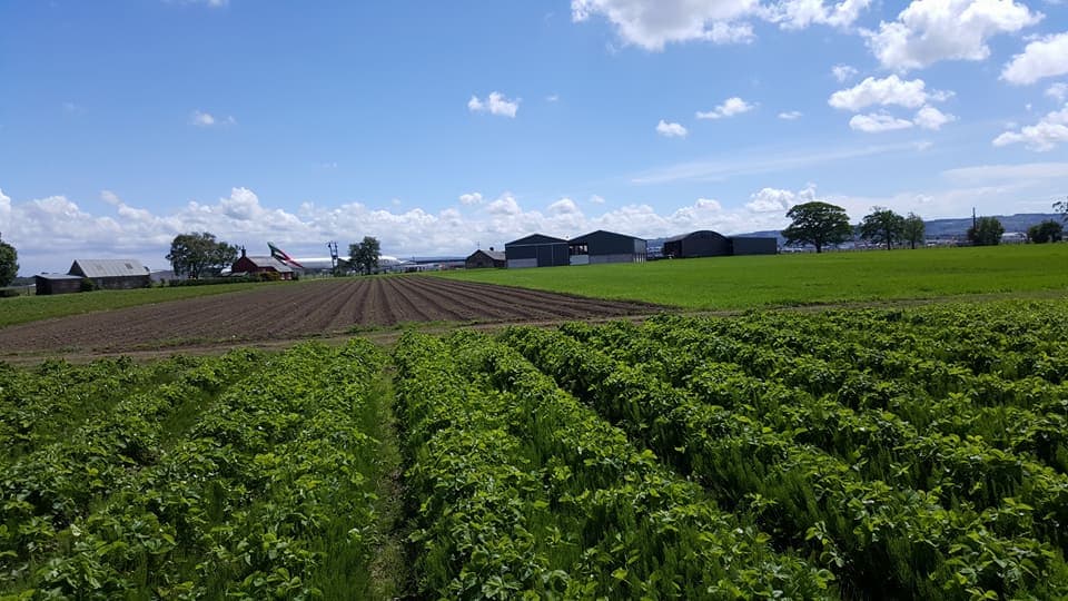 East Yonderton Farm - Photo