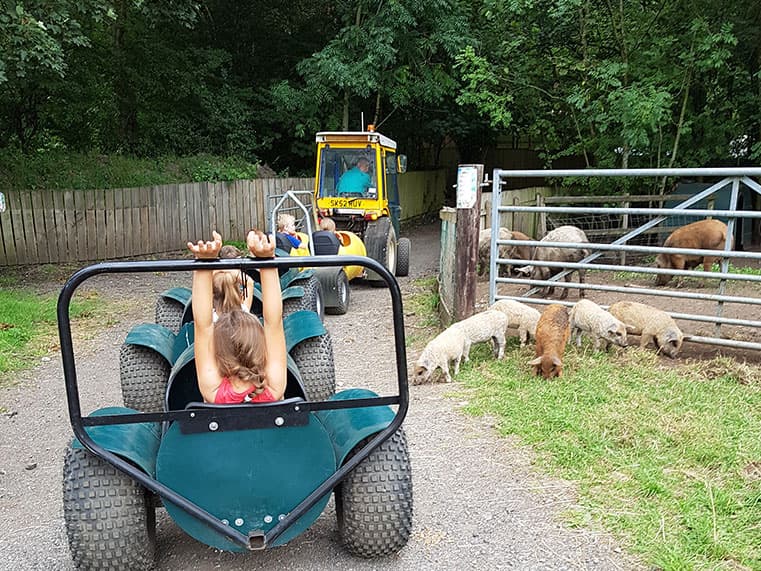 Reddish Vale Farm - Photo