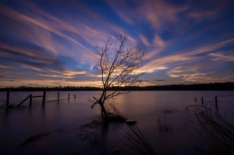 Oxford Island