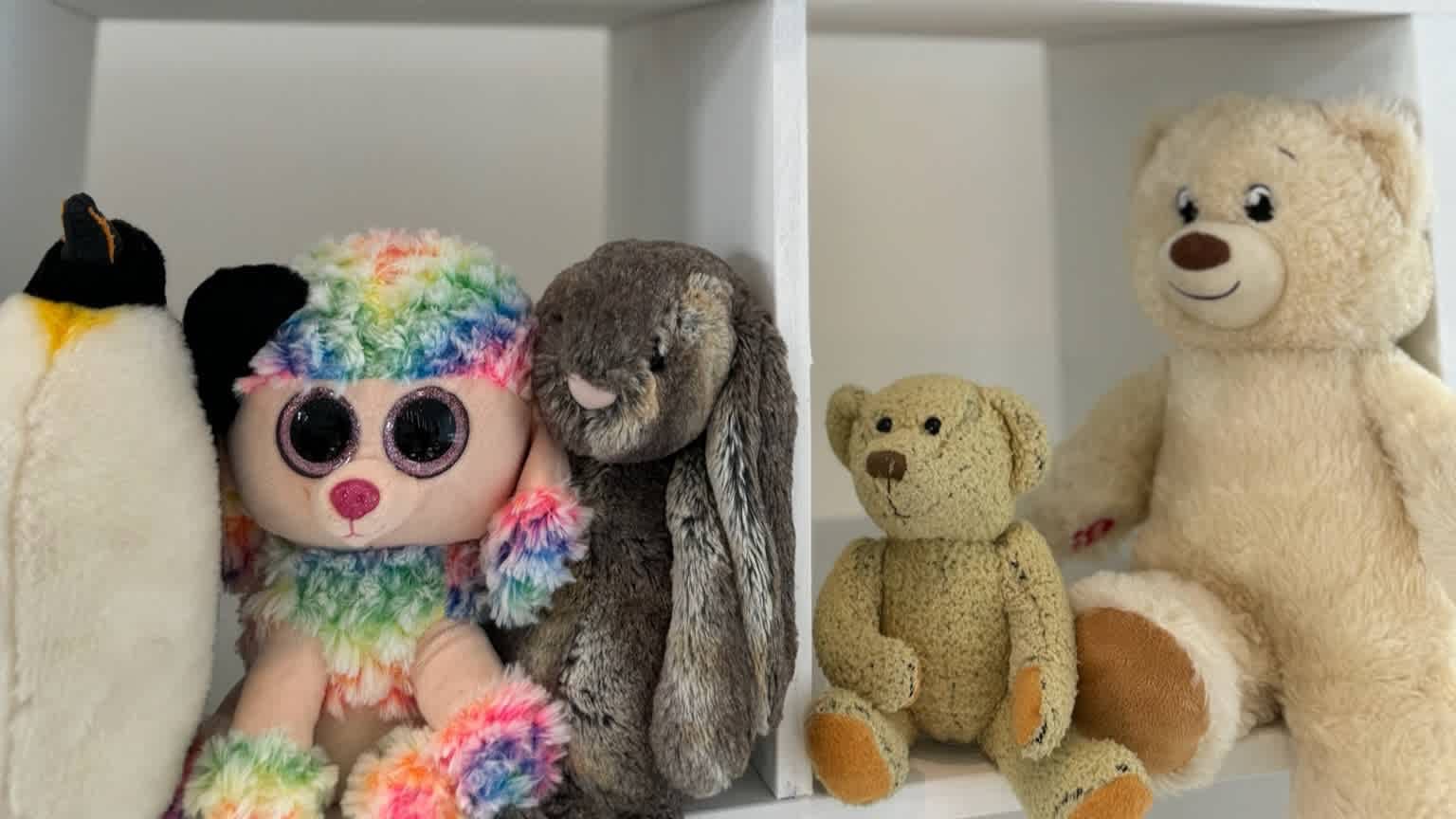 Adopt-a-Bear Experience - Photo