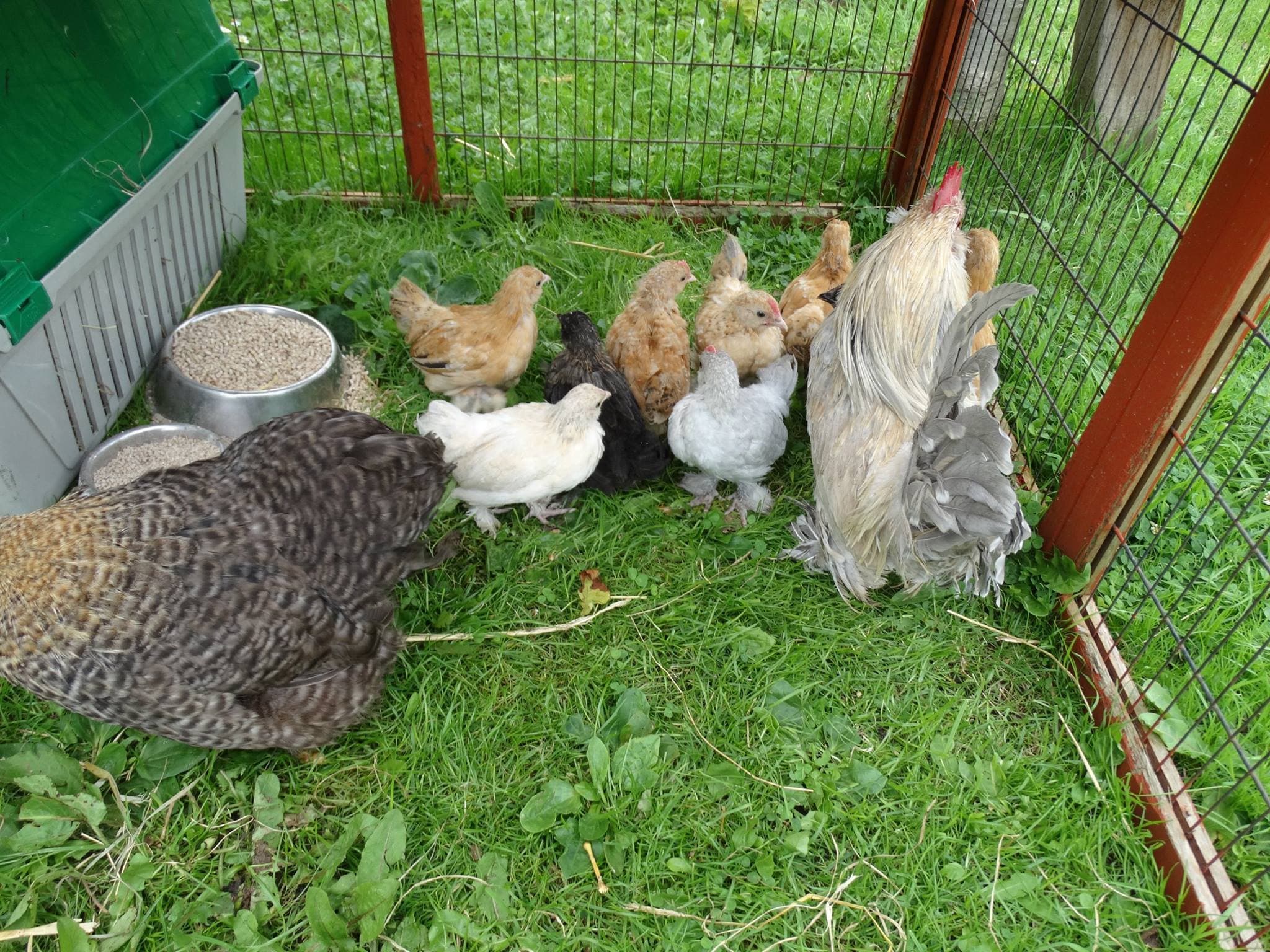 Acorn Farm - Photo