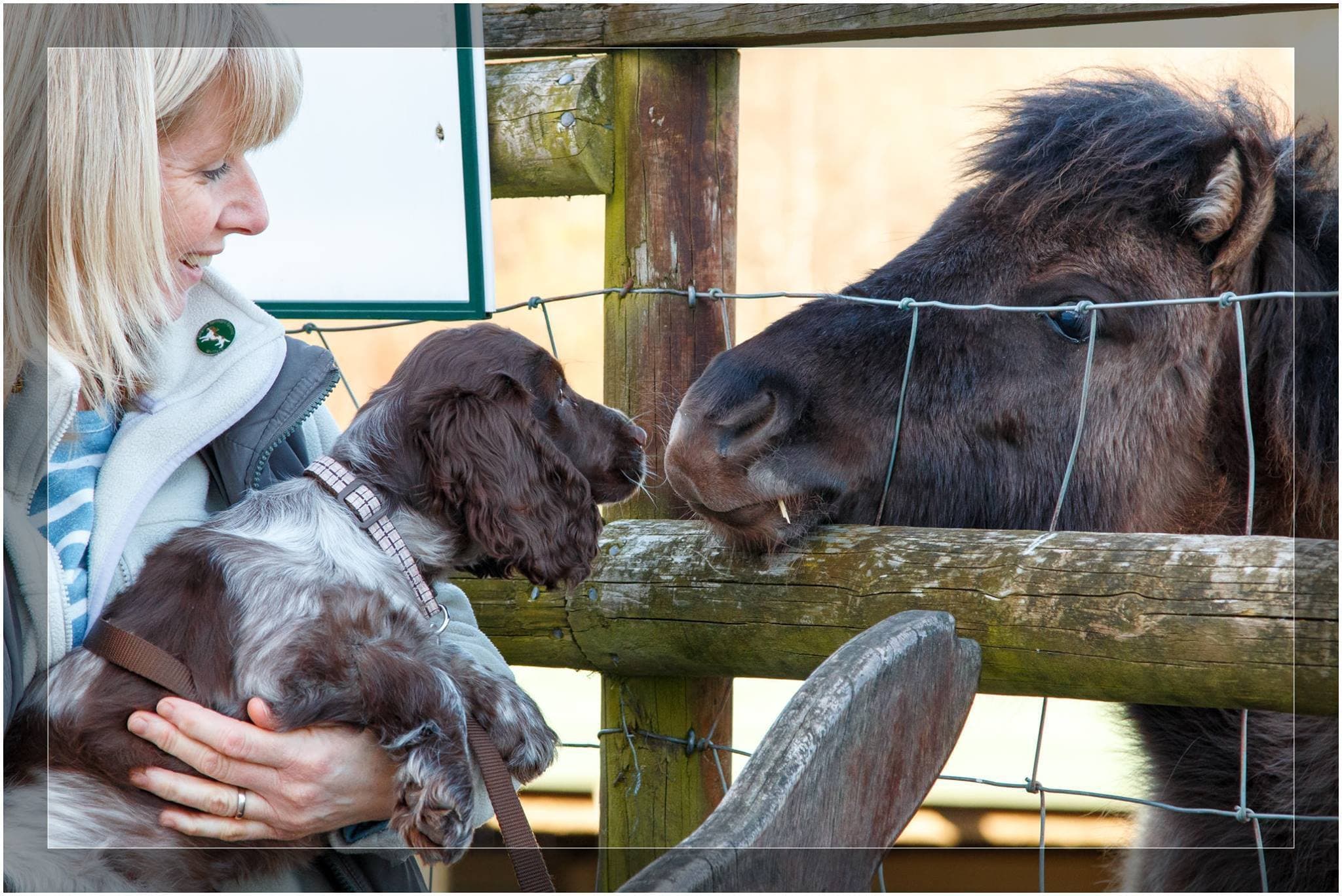 Greenmeadow Community Farm - Photo