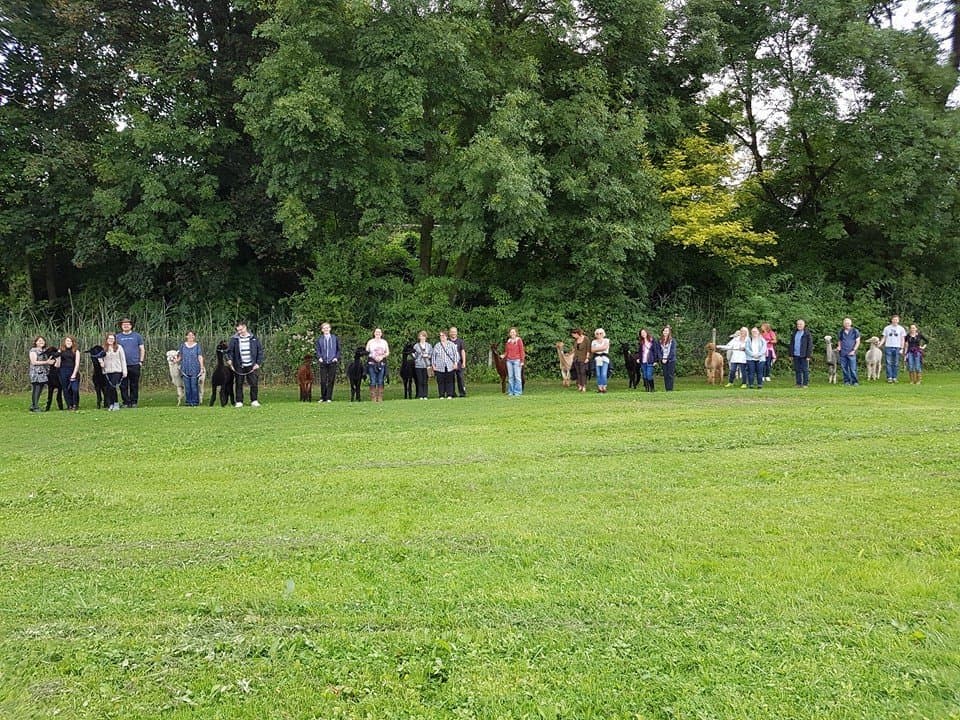 Hensting Alpaca Walking Experience - Photo 1