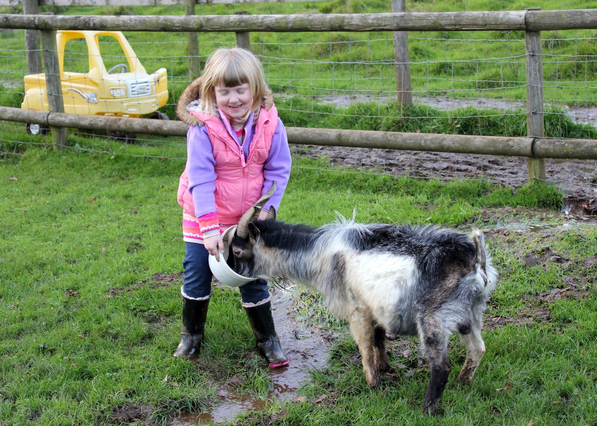 Warren Mill Farm