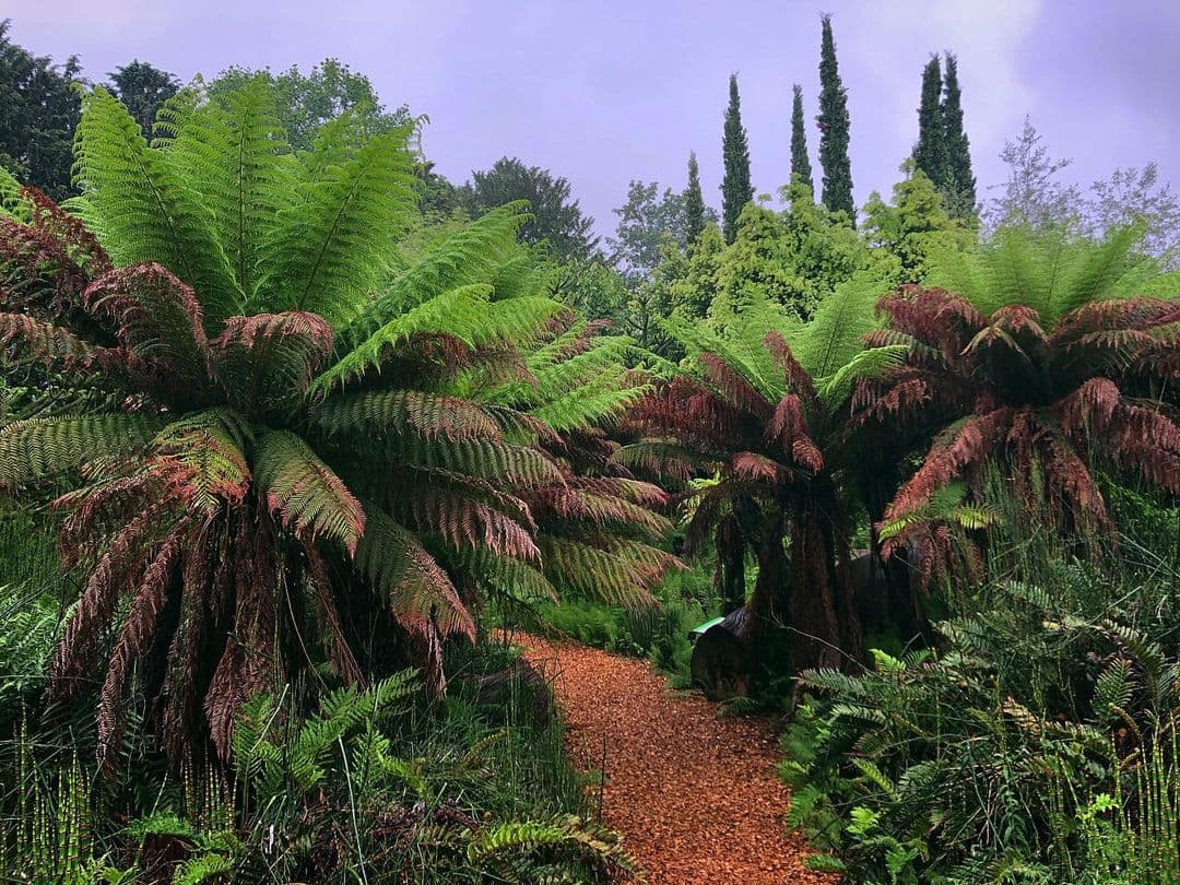 University of Bristol Botanic Gardens - Photo