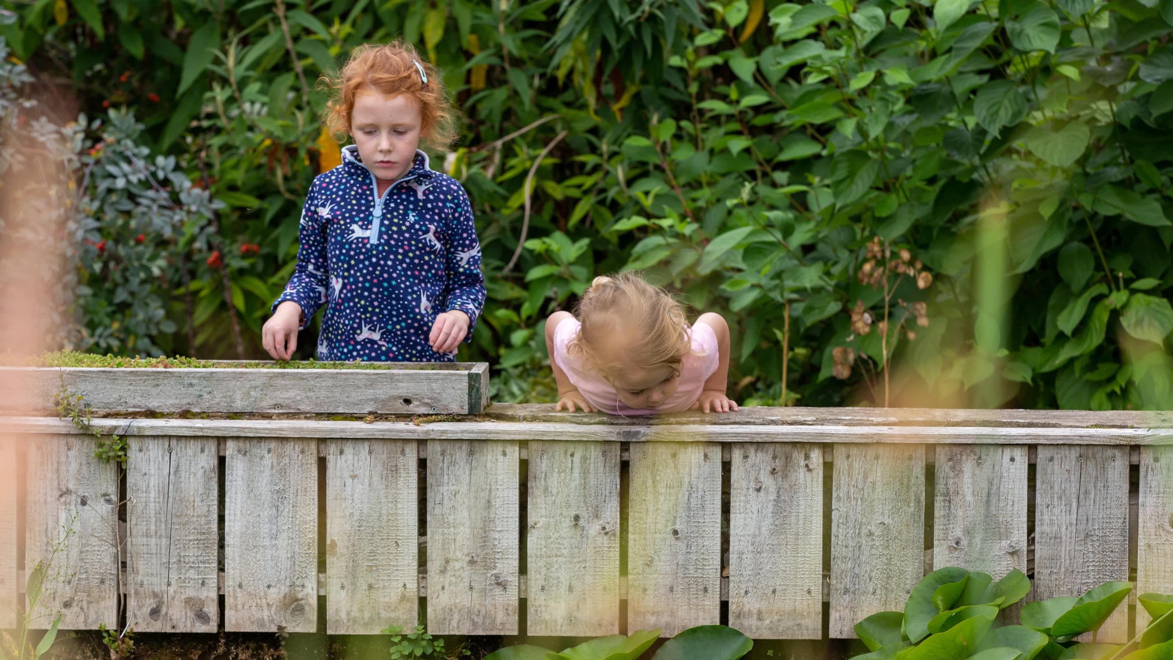 RSPB Saltholme - Photo