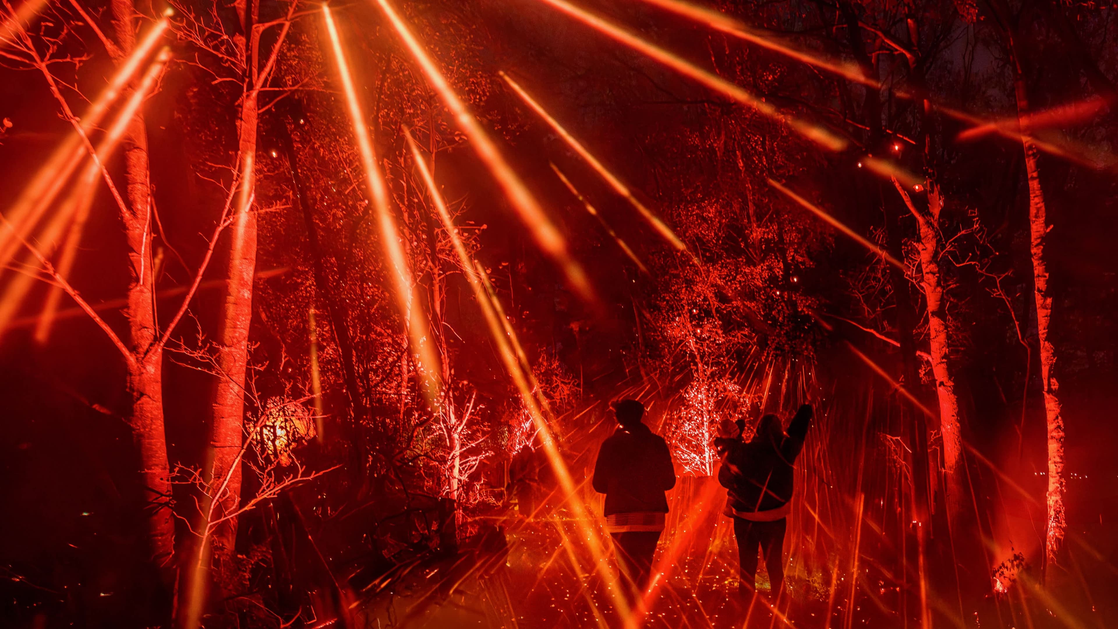 Light Cycles - Photo