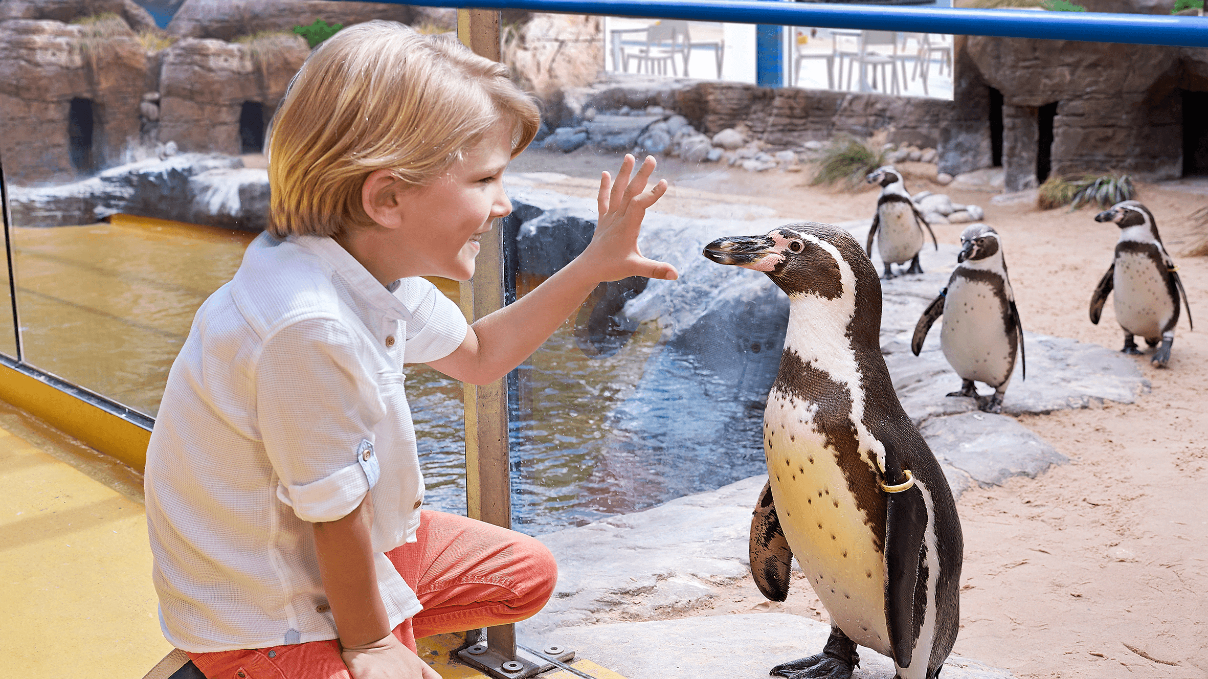 Oceanarium - Photo