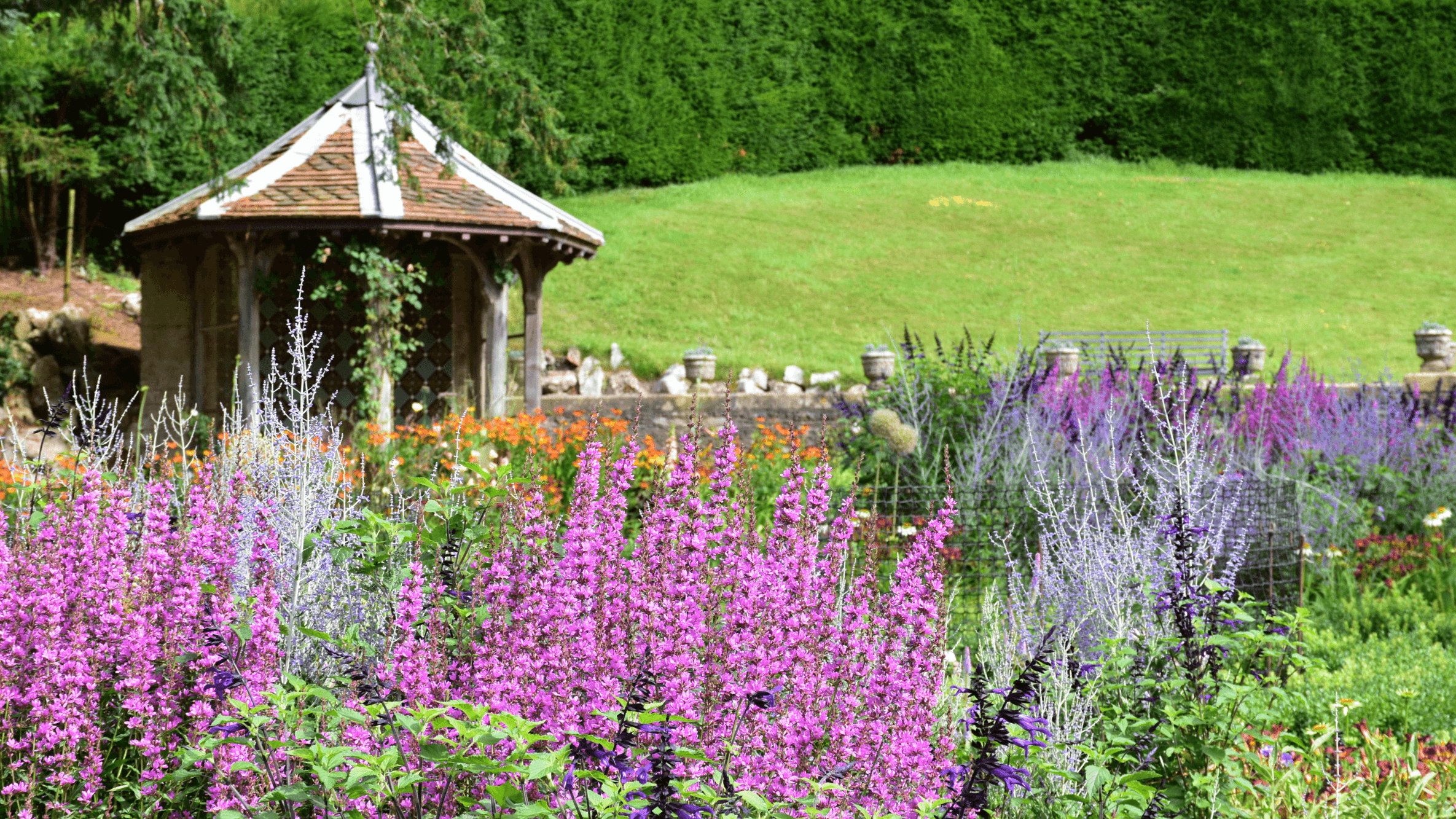 Tyntesfield - Photo