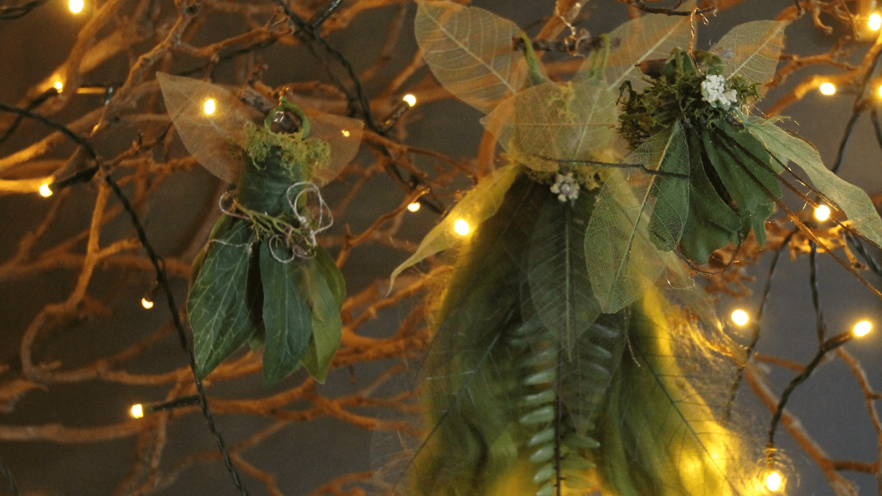 Northwood Trail Fairy Sanctuary - Photo