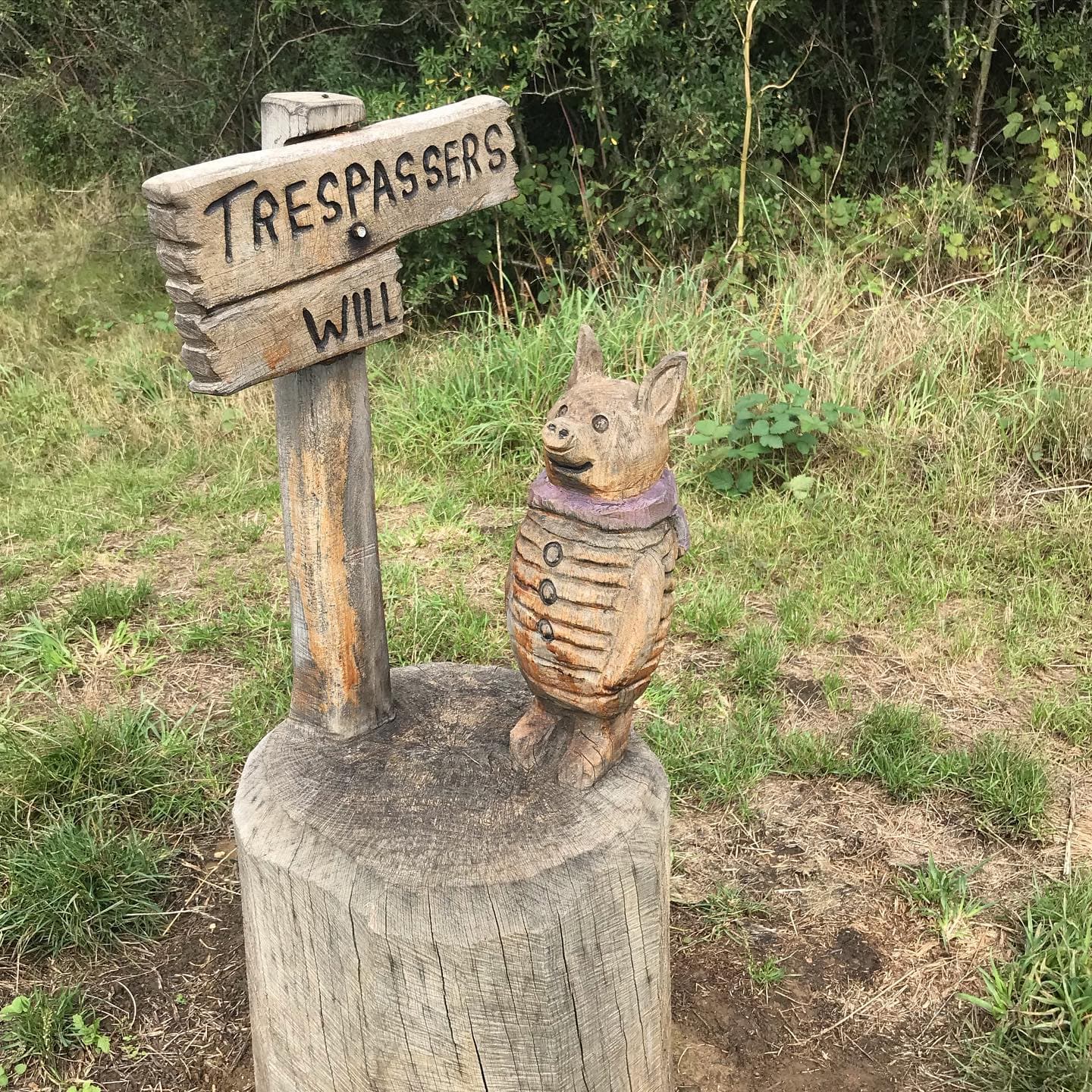 Winnie The Pooh Park