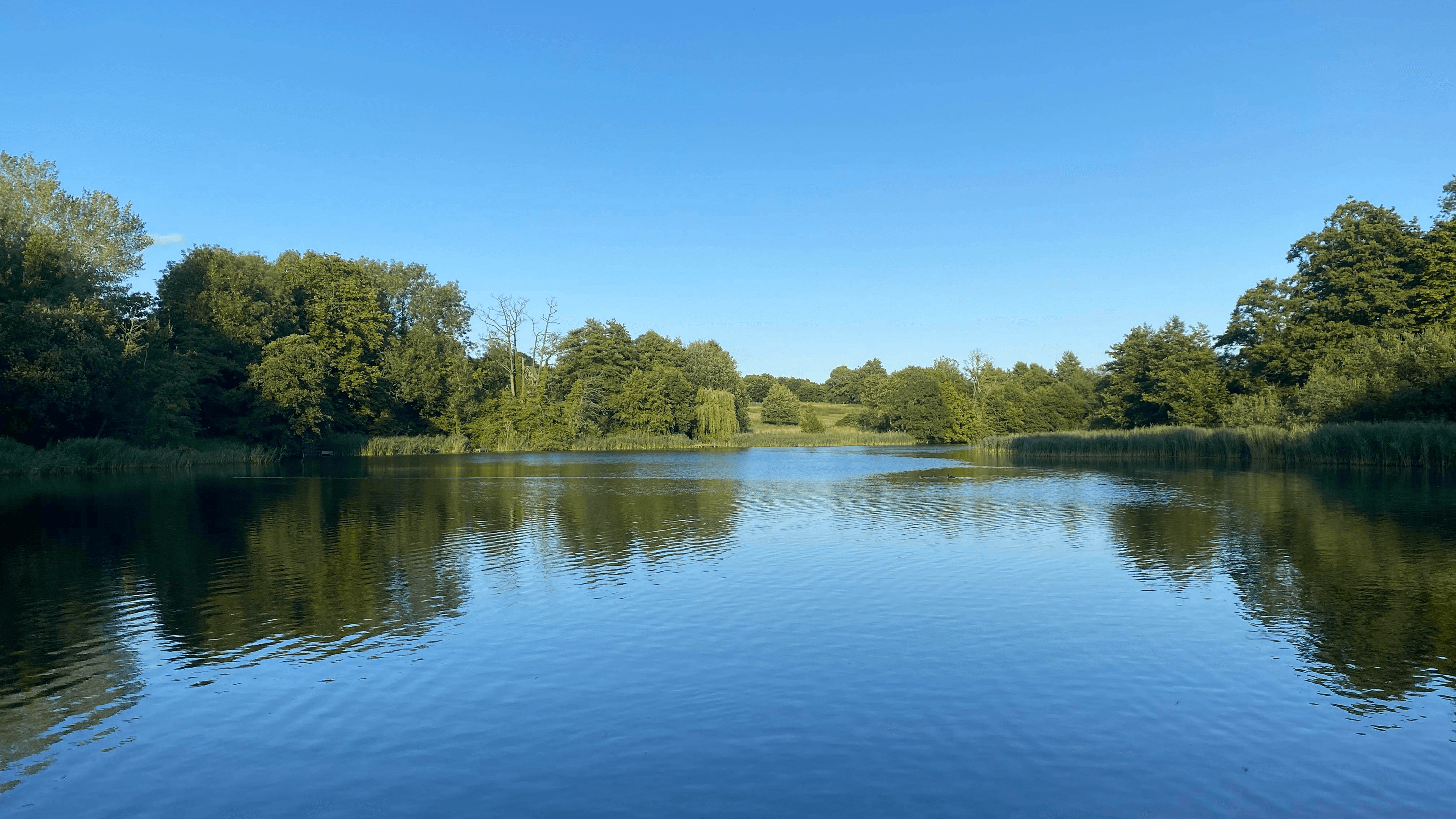 Stanton Park, Swindon