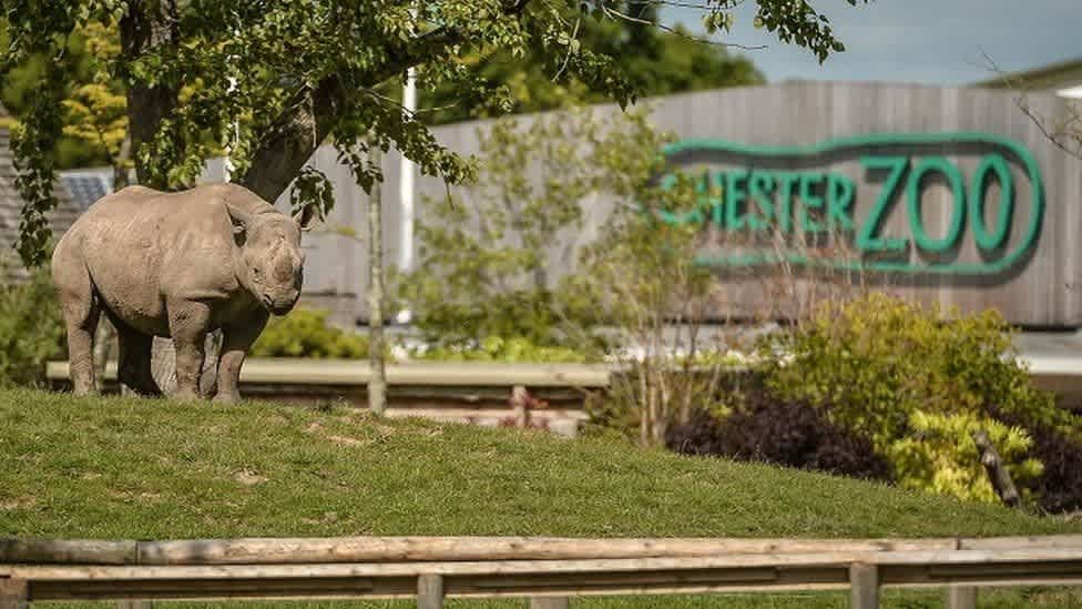 Chester Zoo - Photo