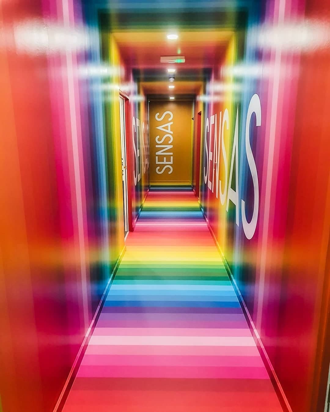 Sensas London - Photo