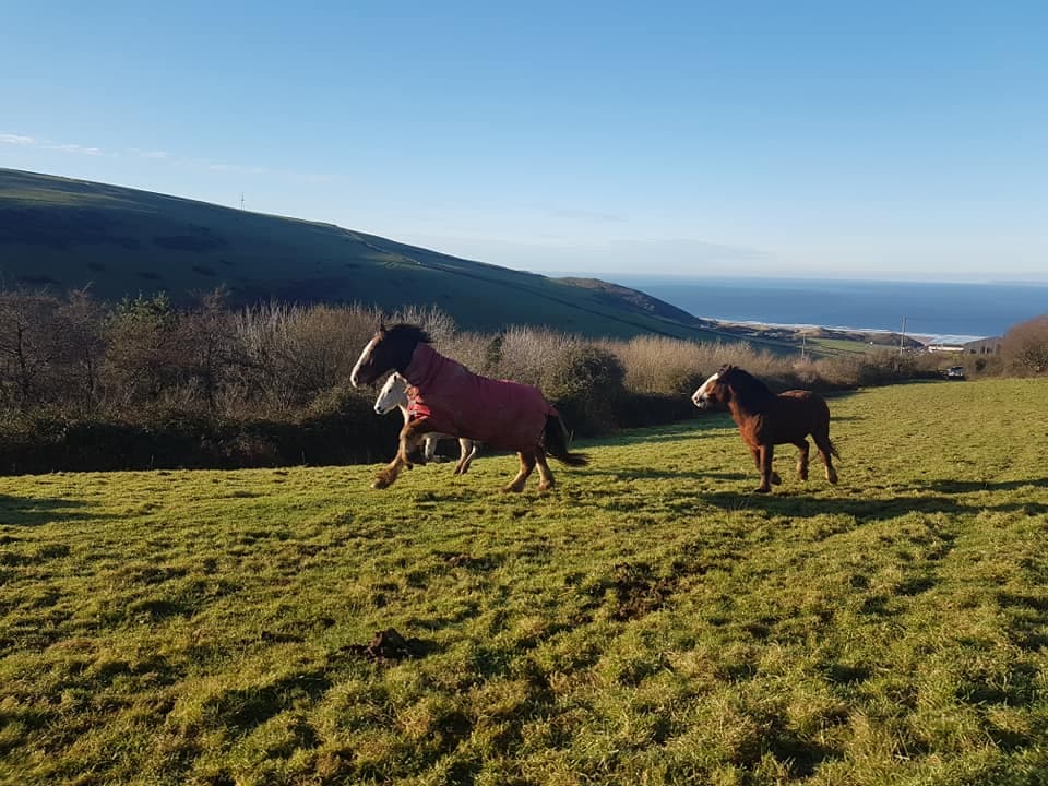 Woolacombe Riding Stables - Photo