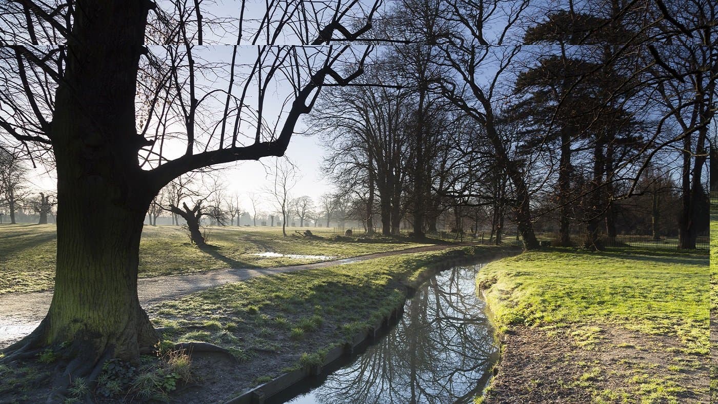 Morden Hall Park