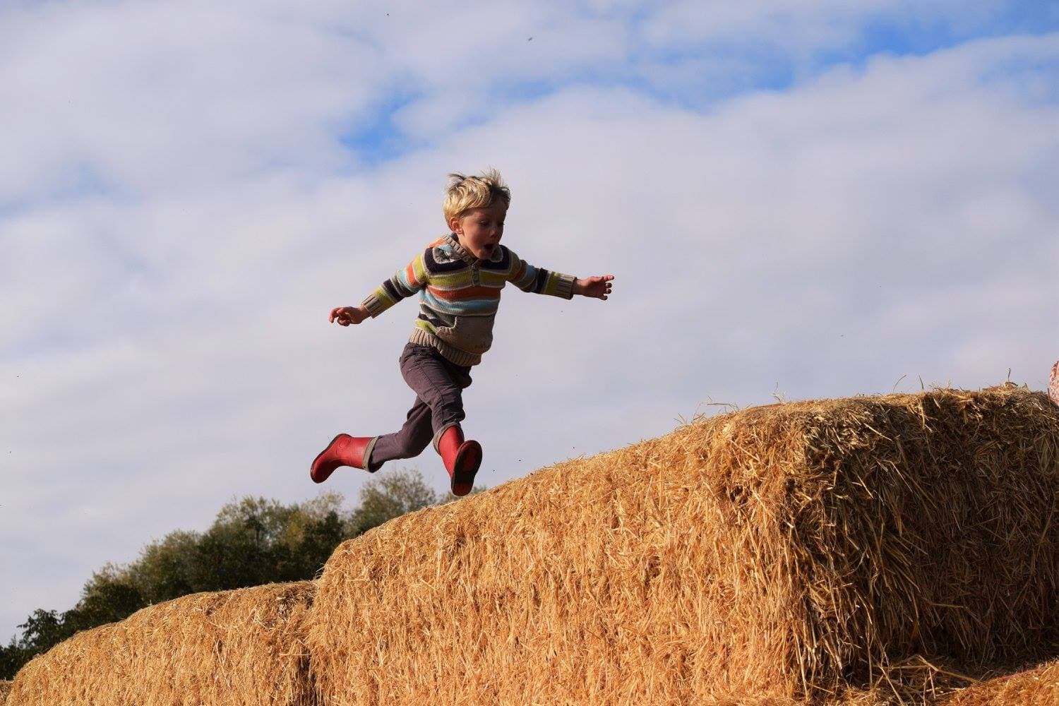 Baylham House Rare Breeds Farm - Photo