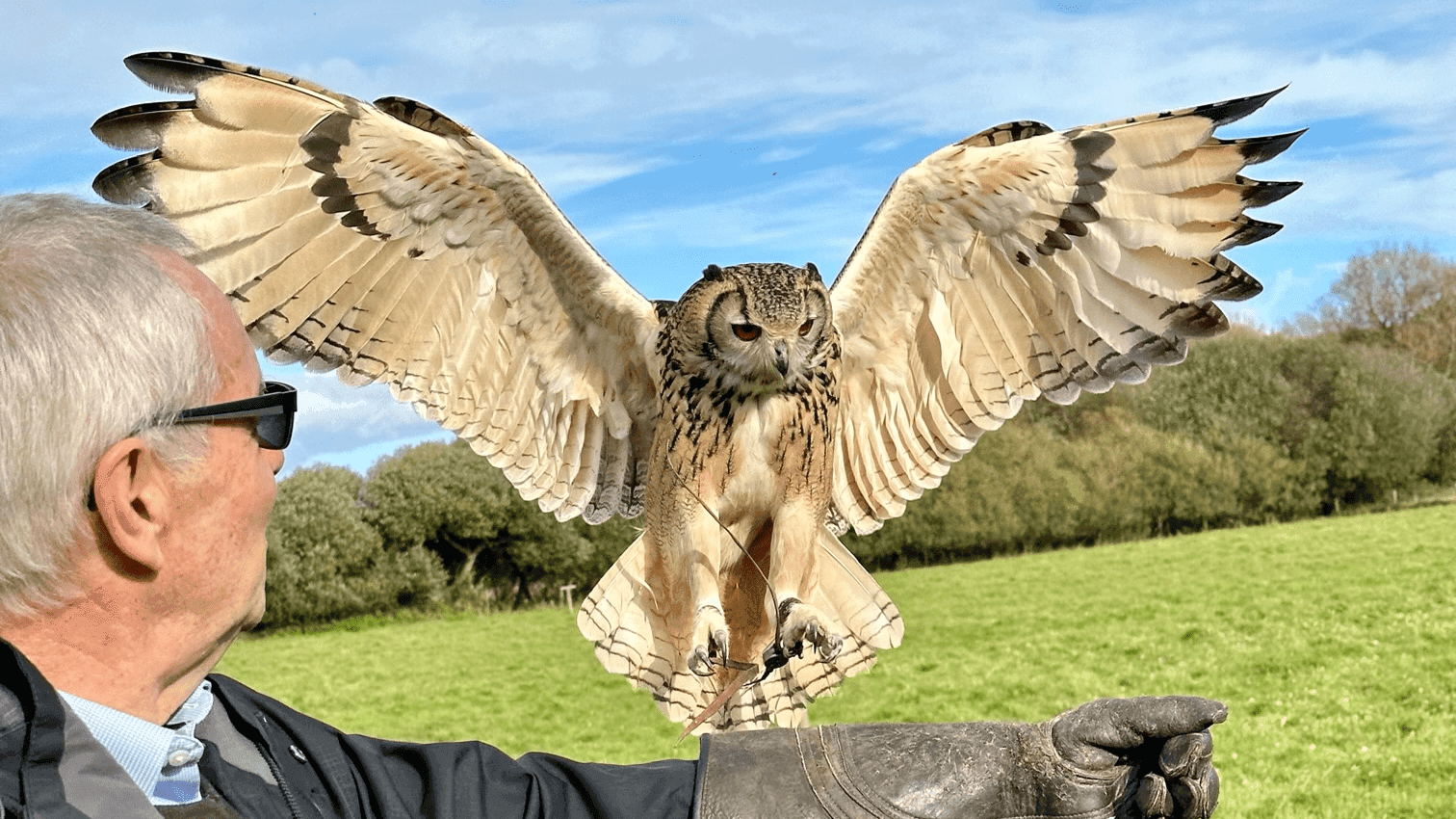 TWO Bird Experiences - Photo