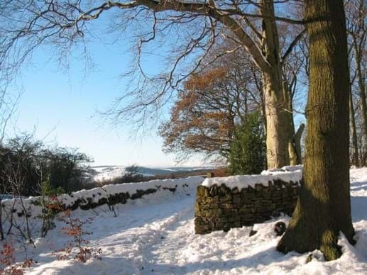 Wheata Woods - Photo